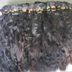 Raw Indian Temple Hair
